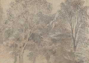 梢 [裏面] 作： Antoine Watteau