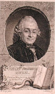 ジョン・シュリューエン（fl.1740-74）が彫ったヨハン・フリードリヒ・メッケル（1724-76）の肖像（エングレーヴィング） 作： Anton (after) Graff