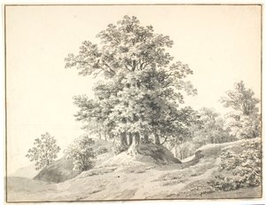 エルベ川沿いの大きな木々のある風景。 ブクステスキン 作： Anton Carl Dusch