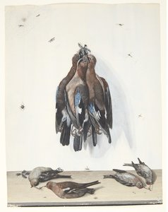 鳥のある静物 作： Anton Ignaz Hamilton