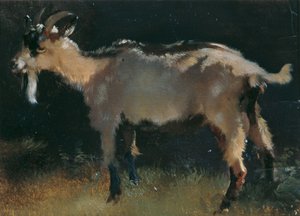 ヤギ 作： Anton Schrodl