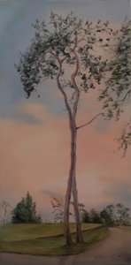 テープリー公園の木々、2013年（キャンバスに油彩） 作： Antonia Myatt