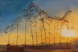 イモリ、サマセット、2018年（キャンバスに油彩） 作： Antonia Myatt