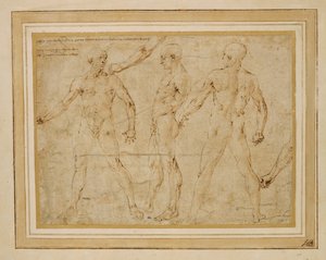 3人の男性ヌード、正面、背面、横顔; ... 作： アントニオ (所属) ポライオーロ