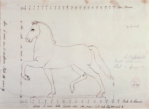 騎馬像のための馬の習作（デッサン 作： Antonio Canova