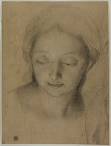 女性の頭 作： Antonio Cavallucci