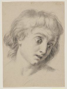 少年の頭 作： Antonio Cavallucci