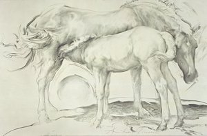 クールモアの馬、1990年（紙に木炭） 作： Antonio Ciccone
