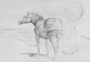 クールモアの馬、1990年（紙に木炭）