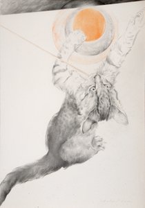 不明な画像 作： Antonio Ciccone