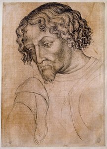 髭を生やした男性の胸像、4分の3の頭が左に傾いている。Antonio di Puccio Pisano dit Pisanello (1395-1455)の工房で描かれたもの。羽根（デッサン）、血。寸法：28x20cm。ルーヴル美術館、デッサン室 作： Antonio Pisanello