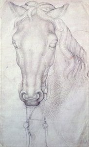 馬の頭