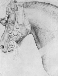 バジャルディアルバムの馬の頭