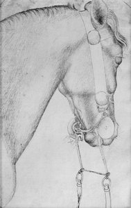 バジャルディアルバムの馬の頭 作： Antonio Pisanello