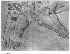バジャルディアルバムの馬の頭 作： Antonio Pisanello