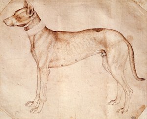 アントニオ・ピサーノ（ピサネロ）による狩猟犬の習作（1395年以前～1455年頃）、ペンと茶色のインクで描かれています。