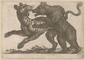 トラと戦うクマ 戦う動物（シリーズタイトル） 作： Antonio Tempesta