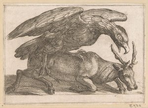 大きな鳥が鹿を襲う 戦う動物（シリーズタイトル） 作： Antonio Tempesta