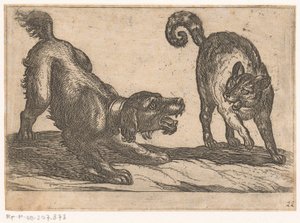 猫と戦う犬 戦う動物（シリーズタイトル） 作： Antonio Tempesta