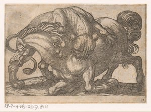 馬を攻撃する雌ライオン 戦う動物（シリーズタイトル） 作： Antonio Tempesta