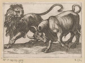 ライオンに突進する雄牛 戦う動物（シリーズタイトル） 作： Antonio Tempesta