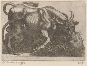 ライオンと戦う雄牛 戦う動物（シリーズタイトル） 作： Antonio Tempesta