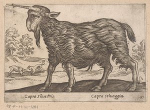 1 つの角を持つヤギ Capra Silvestris/ Capra Selvaggia (オブジェクトのタイトル) Dieren en fablewezens (シリーズのタイトル) 世界で最も好奇心旺盛な動物の新しいコレクション (シリーズ タイトル) 作： Antonio Tempesta