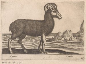 宝石 Cerinis/ Ceruio (オブジェクトのタイトル) Dieren en fabelwezens (シリーズタイトル) 世界で最も好奇心旺盛な動物の新しいコレクション (シリーズ タイトル) 作： Antonio Tempesta