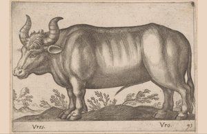 ラウンド Vres/ Vro (オブジェクトのタイトル) 動物と幻の生き物（シリーズタイトル） Nova raccolta de li animali piu curiosi del mondo (シリーズタイトル) 作： Antonio Tempesta