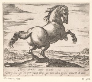 Steigerend paard naar rechts gewend Paarden uit verschiedelde landen (シリーズタイトル) これらのリーダーと一緒に、あなたはヴィロールの口を持つリーダーとして称賛されるでしょう。 作： Antonio Tempesta