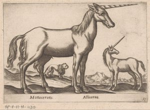 2 つのユニコーンとライオン Monocerons/ Allicorno (オブジェクトのタイトル) 動物と伝説の生き物（シリーズタイトル） Nova raccolta de li animali piu curiosi del mondo (シリーズタイトル)