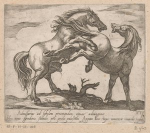 トゥイー・パレンデ・パーデン Paarden uit verschiedelden landen (シリーズタイトル) これらのリーダーと一緒に、あなたはヴィロールの口を持つリーダーとして称賛されるでしょう。