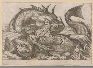 二匹の闘魚 戦う動物（シリーズタイトル） 作： Antonio Tempesta
