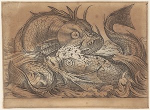 争う二匹の魚