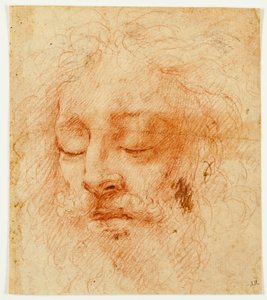 眠れる男の頭 作： Antonio da Correggio