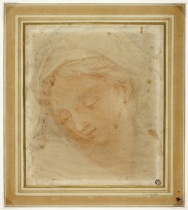 女性の頭部 作： Antonio da Correggio