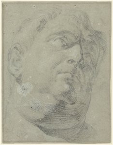 Presunto Vitellio のアンティーク ローマ大理石のバスト 作： Antonio da Cremona