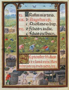 9月、「ドムマヌエルの時間の書」、1517-38（ベラムのテンペラ）のミニチュア 作： Antonio de Hollanda