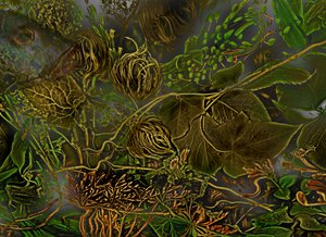 2014年アンデルスヴェルト第7号（写真）