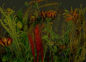 2019年アンデルスヴェルト92号（写真）