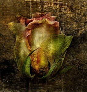 アートフローラル -55