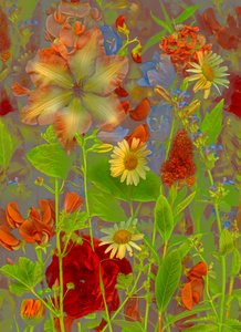 アートフローラルno.5 春の語らい、2016年（写真） 作： Antonius Antonius