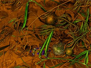 アースアートno.2、2014年（写真）