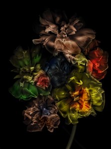  作： Antonius Antonius