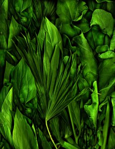 マジックガーデンNo.6-3、2020年（写真）