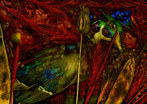 2012年マジックガーデン76号（写真）