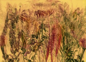 アンダースヴェルト 92 作： Antonius Antonius