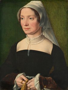 1543年、ド・ホンデコテール家の一員の妻。 作： Antwerp 16th Century