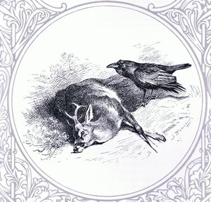 鹿と鴉」（ブッククラブアソシエイツ刊 作： Archibald Thorburn