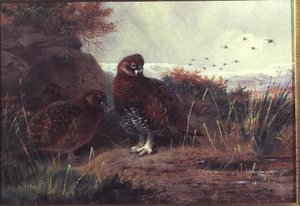 冬景色の中のライチョウ 作： Archibald Thorburn